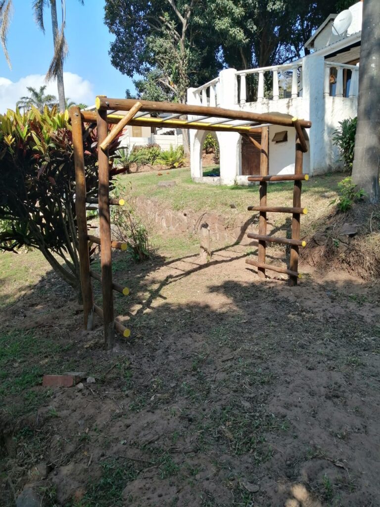 Adult Monkey Bars