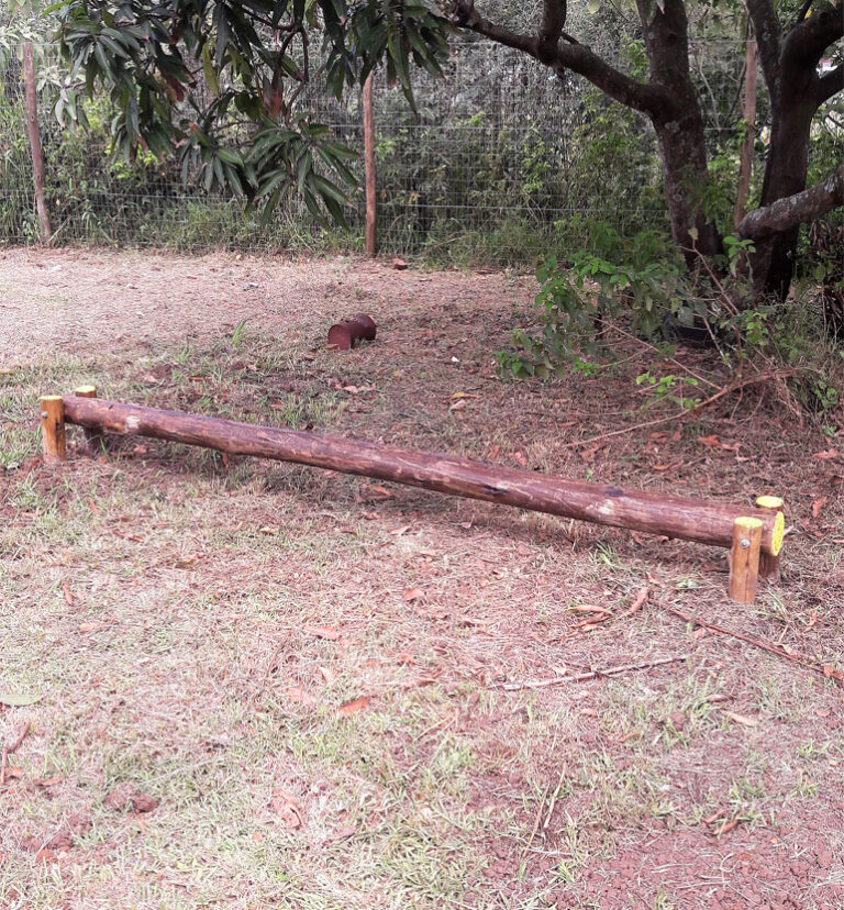 Balancing Beam