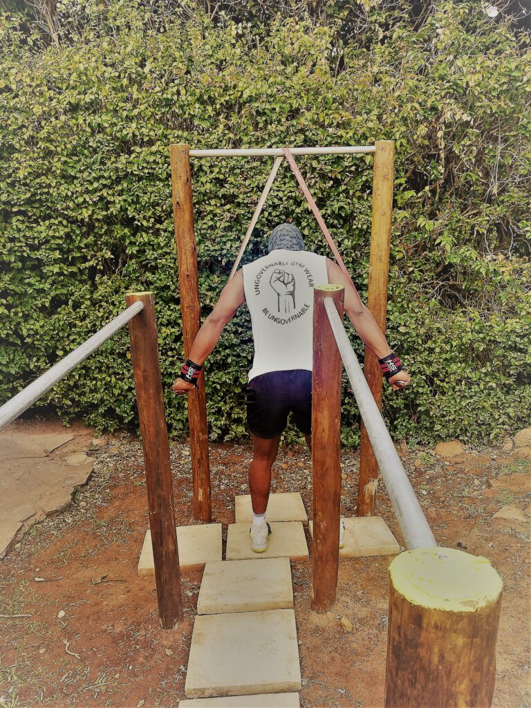 Push-up Bars